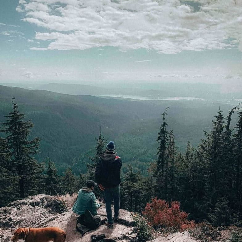 Instagram (Images)