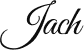LOGO Loading